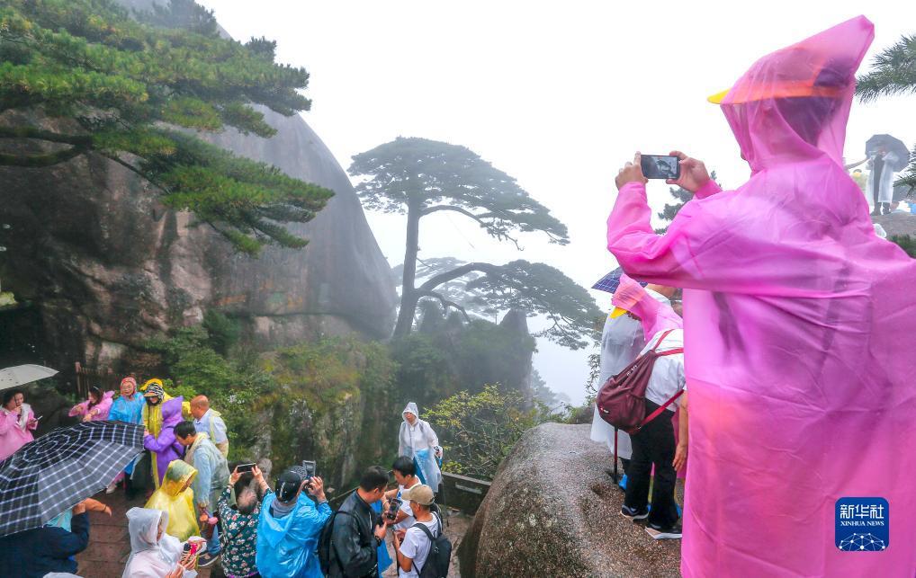 奔驰宝马在线游戏网址
